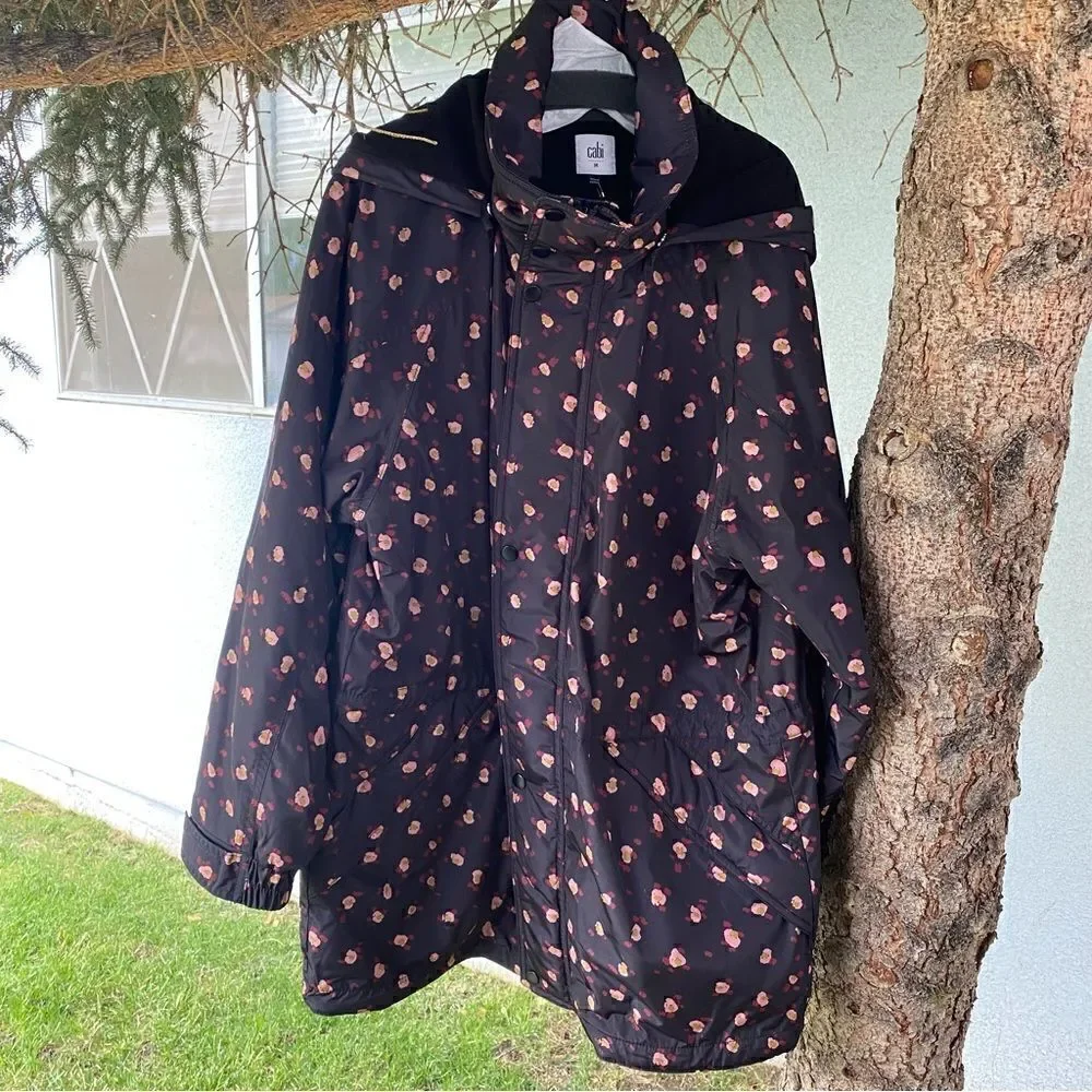CAbi rainy day